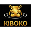 KiBOKO Consulting