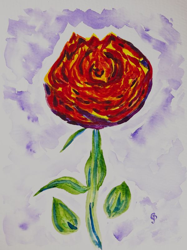 Watercolor painting of a red and purple rose
