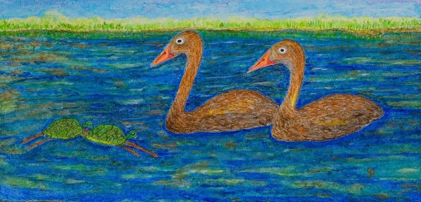 Watercolor painting of two birds in water with two turtles