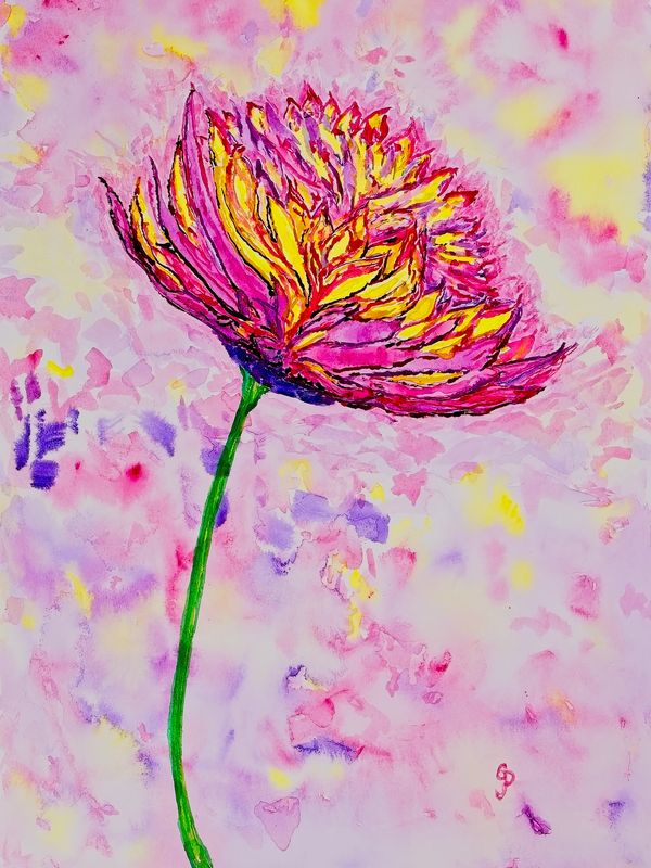 Watercolor painting of a spring aster