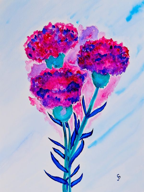 Watercolor painting of blue and pink carnations