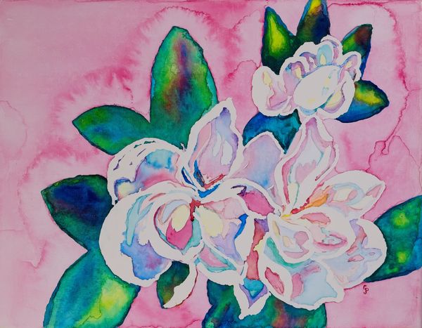 Watercolor painting of a white magnolia with a pink background with green blue leaves