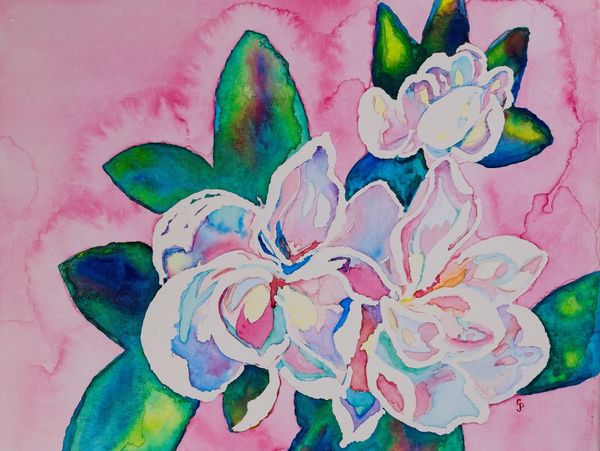 Watercolor painting of magnolia blossoms