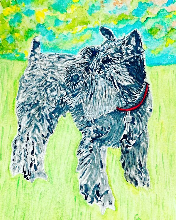 Watercolor painting of a schnauzer in a park