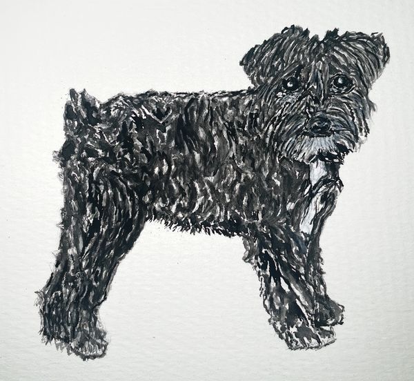 Watercolor painting of a black and white schnauzer