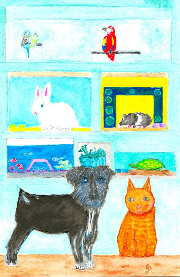 Watercolor painting of a pet shop with a frog, parrot, rabbit, hamster, fish, turtle, dog & cat