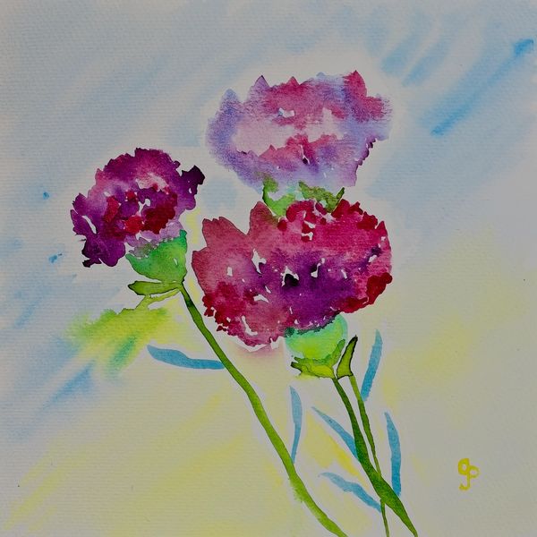Watercolor painting of carnations