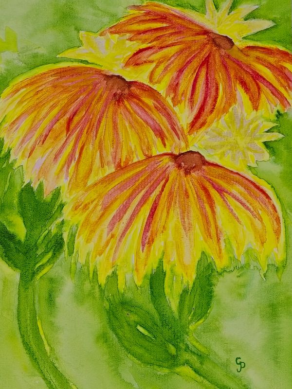 Watercolor painting of yellow, orange, and green mums