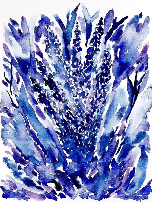 Watercolor painting of flowers in shades of blue and white