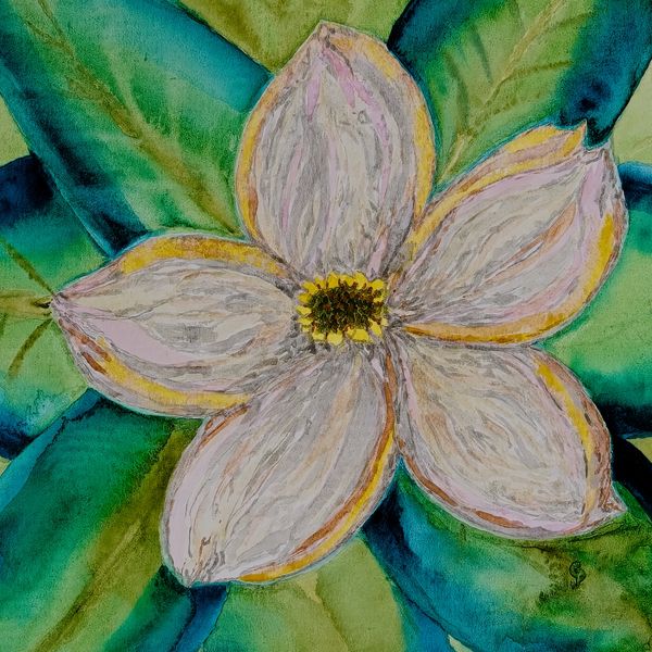Watercolor painting of a magnolia blossom