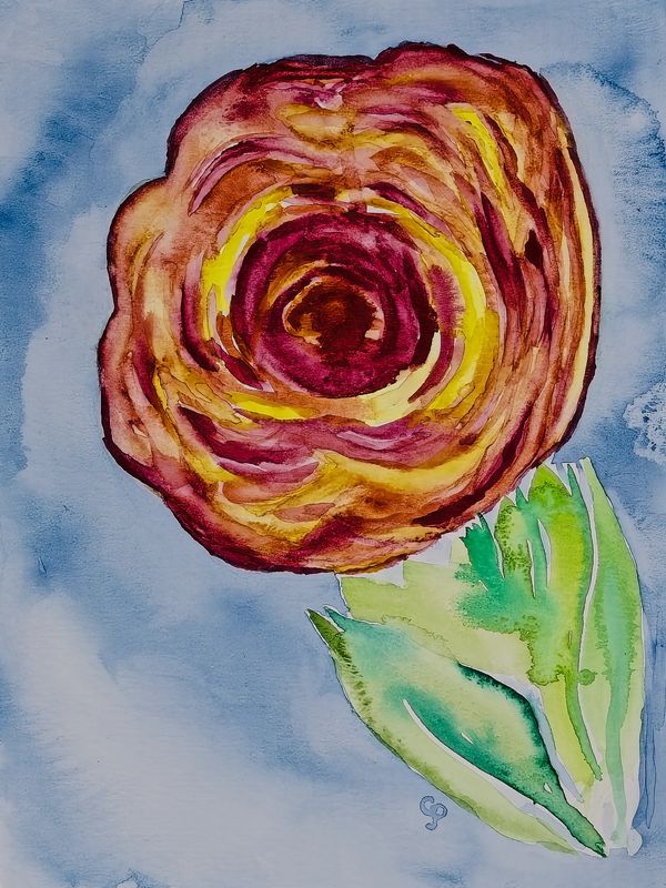 Watercolor painting of a peach rose