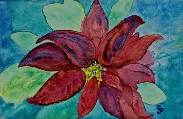 Watercolor painting of a poinsettia