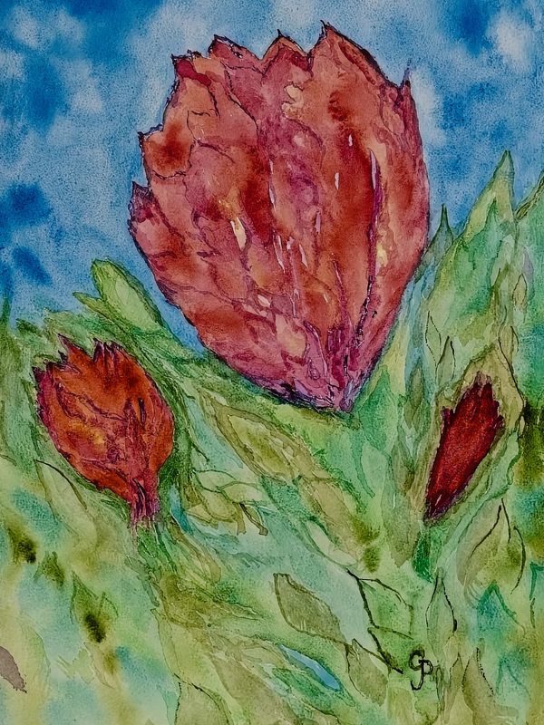 Watercolor painting of roses