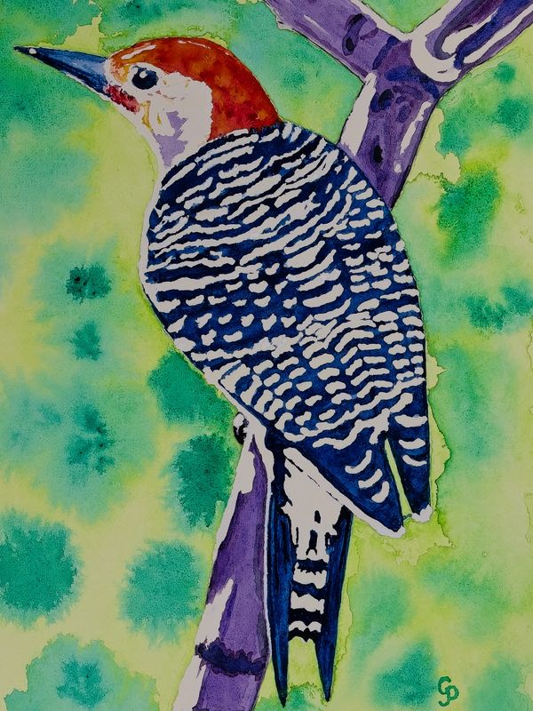 Watercolor painting of a woodpecker