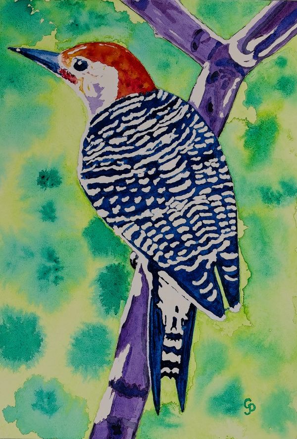 Watercolor painting of a woodpecker sitting on a tree branch
