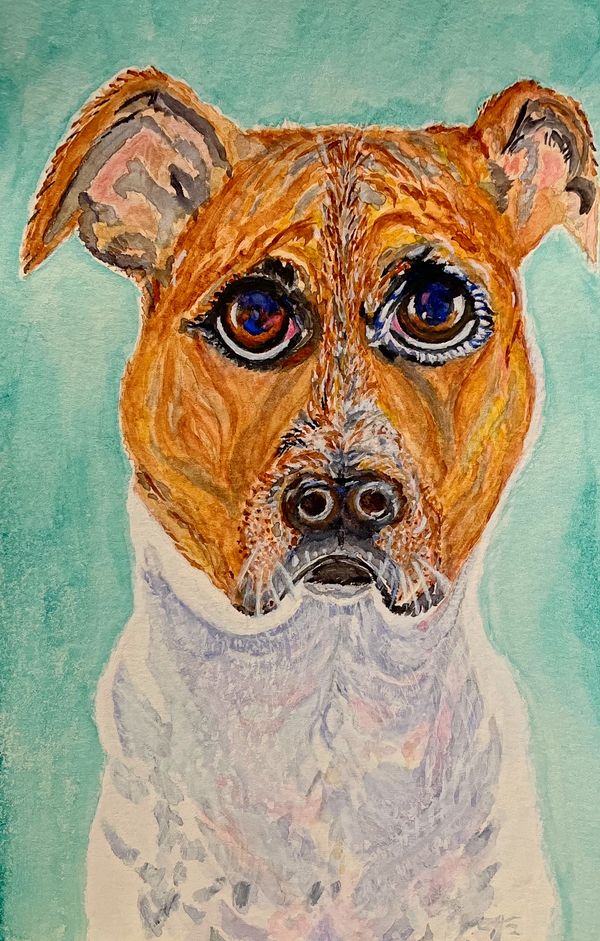 Watercolor painting of a brown and white dog on a teal background