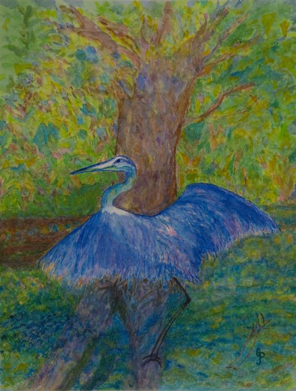 blue heron on a branch in a cove