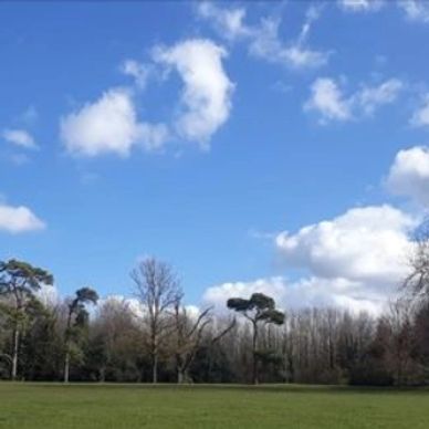 Oaks Park Tai Chi, Wednesday at 10 am for one hour £5