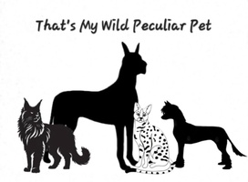 That's My Wild Peculiar Pet