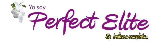 Logo de Perfect Elite