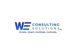 WE, LLC Consulting Solutions