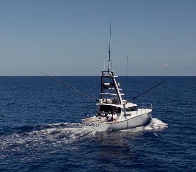 SeaWolf fishing for giant marlin