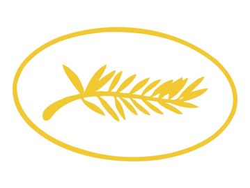 Film Festival 