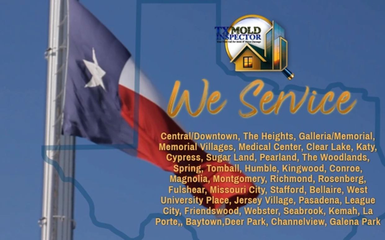 Mold Inspection, Houston, Spring Branch, Memorial, Katy, Mold testing near me, Black mold testing