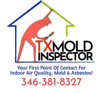 TX MOLD INSPECTOR