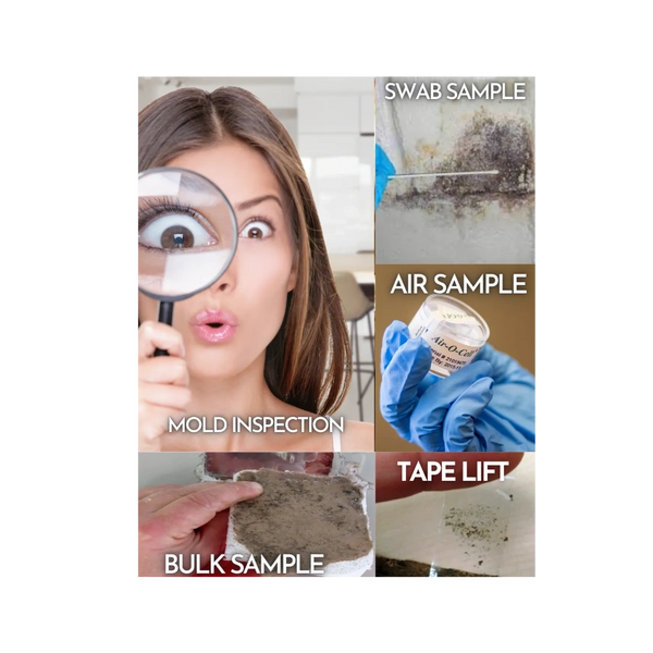 Water Damage  Restoration
Mold Inspector
Mold Test
Emergency 
Cleaning Services
Water Mitigation
