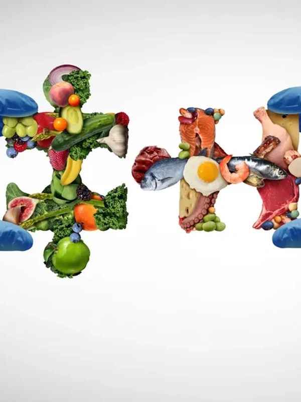 Food science and technology solutions for the food industry. 