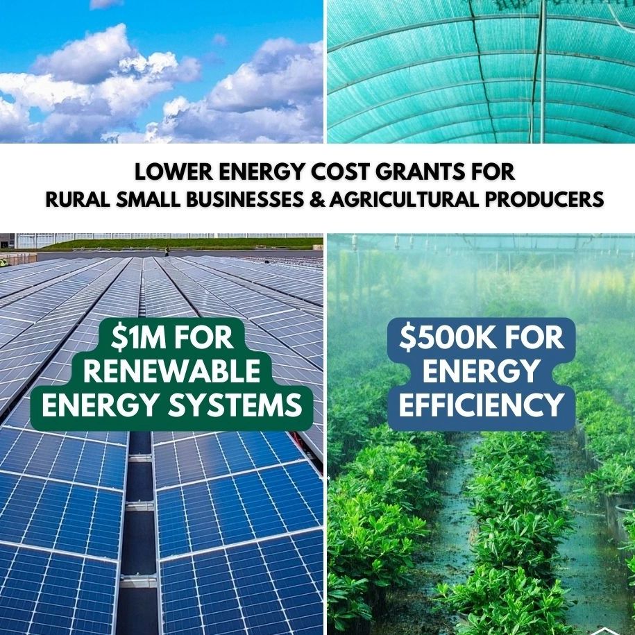 Grants for rural small businesses Grants for rural small businesses