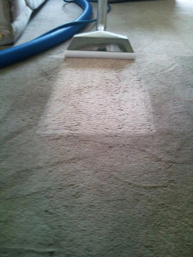 Nottingham and Derby carpet and floor cleaning experts - Home