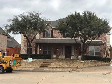 Tree trimming in Lewisville, Texas