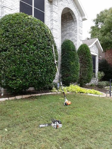 Affordable Bush Trimming