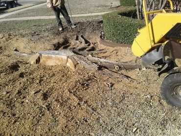 Affordable Stump Grinding 