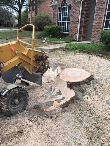 Stump Grinder