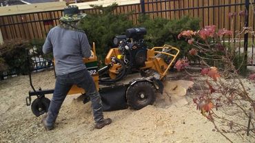 Fast Stump Grinding 