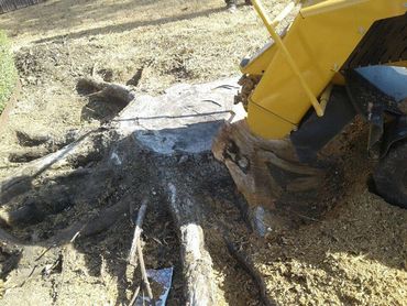 Stump Grinding 