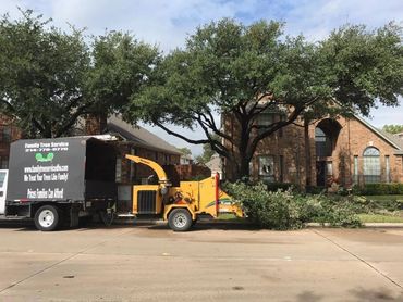 Tree trimming with chipper truck and wood chipper 