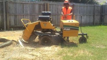 Stump removal