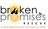 Animal rescue and adoption services, including dogs and cats
