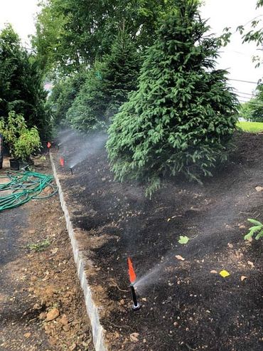 watering of trees through sprinkler