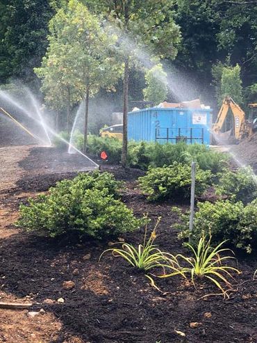 watering of trees through sprinkler