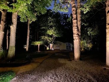 view of a house around trees 