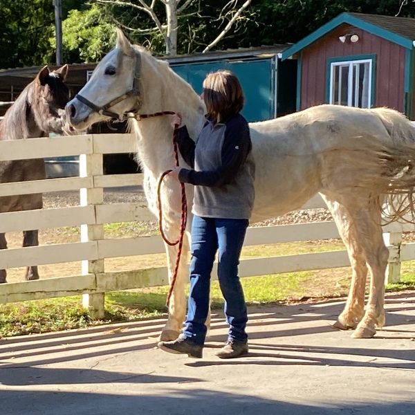 about-karuna-rescue-humboldt-county-ca