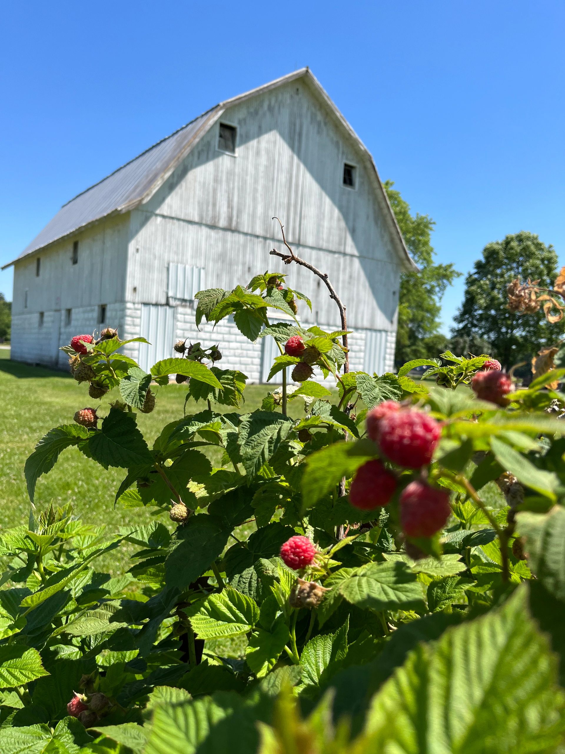 Spencer Farm Market Noblesville, Indiana