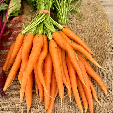 Carrot Bunches