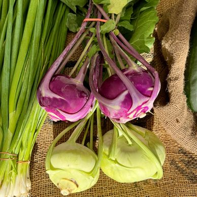 Purple and Green Kohlrabi bunches