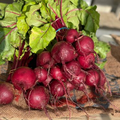 Beet bunches